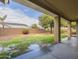 Covered patio views an oversized grassy area, framed by lush trees, and a privacy fence at 18624 E Cattle Dr, Queen Creek, AZ 85142