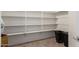 Walk-in pantry with ample shelving at 19061 N Toya St, Maricopa, AZ 85138