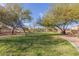 Beautiful community park with grassy lawn, mature trees, ramada and sidewalks at 24207 W Desert Bloom St, Buckeye, AZ 85326