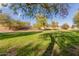 Community park features large green space, mature trees, and walking paths creating a recreational outdoor area at 24207 W Desert Bloom St, Buckeye, AZ 85326