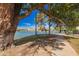 Lakeside view framed by a mature tree with a paved path and residential buildings at 2714 W Desert Cove Ave, Phoenix, AZ 85029