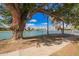 Scenic lake view framed by a mature tree with a paved path nearby at 2714 W Desert Cove Ave, Phoenix, AZ 85029