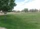 Enjoy wide open green spaces with a playground at the community park at 39837 N Manetti St, San Tan Valley, AZ 85140