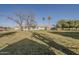 Large backyard with sprawling green lawn, ideal for recreation and relaxation at 40192 N Taylor St, San Tan Valley, AZ 85140