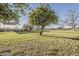Spacious backyard with lush green grass and mature trees, offering ample space at 40192 N Taylor St, San Tan Valley, AZ 85140