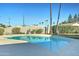 Refreshing in-ground pool with concrete surround and lush palm trees in the backyard at 623 N Parsell --, Mesa, AZ 85203