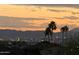 A vibrant city view in the distance showcasing the sunset with palm trees in the foreground at 7532 N 23Rd St, Phoenix, AZ 85020