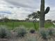 Lush community green space with walking paths and mature desert landscaping at 7691 W Saddlehorn Rd, Peoria, AZ 85383
