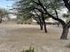 Large backyard featuring desert landscaping with mature trees providing ample shade at 9644 N 97Th Ln, Peoria, AZ 85345