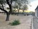 Wide view of a backyard featuring desert landscaping and mature shade trees at 9644 N 97Th Ln, Peoria, AZ 85345
