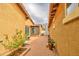 A narrow backyard offers a paver patio and lush landscaping with trees and shrubbery at 1155 S Annie Ln, Gilbert, AZ 85296