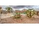 Landscaped backyard with a pool, palm trees, and cacti, creating a serene desert oasis at 12450 W Holly St, Avondale, AZ 85392