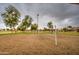 Outdoor volleyball court with a net and well-maintained grass and trees for neighborhood games and recreation at 12450 W Holly St, Avondale, AZ 85392