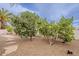 Landscaped backyard featuring mature trees, rock ground cover, and stone pathway at 15327 E Thistle Dr, Fountain Hills, AZ 85268