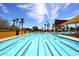 Large community pool with lane markers and sunshades surrounded by lush landscaping and palm trees at 16935 W Cambridge Ave # 57, Goodyear, AZ 85395