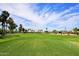 Lush green golf course with palm trees and a clear blue sky, perfect for a day on the links at 16935 W Cambridge Ave # 57, Goodyear, AZ 85395