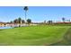 Picturesque view of the green with a pond and golf course in the background with palm trees at 16935 W Cambridge Ave, Goodyear, AZ 85395