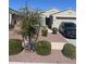 Charming single-story home featuring desert landscaping and a two-car garage at 18642 W Yucatan Dr, Surprise, AZ 85388