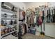 Walk-in closet with shelving, hanging rods, and carpeted floors at 21359 E Camacho Rd, Queen Creek, AZ 85142