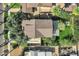 Overhead shot showcasing the property's layout with a pergola-covered patio, lush greenery, and surrounding neighborhood homes at 348 W Portland St, Phoenix, AZ 85003