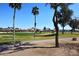 Scenic golf course view featuring lush green grass, tall palm trees, and well-maintained landscaping under a clear blue sky at 3685 N 162Nd Ln, Goodyear, AZ 85395