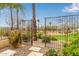 Private backyard with wrought iron fencing and lush landscaping with desert flower accents at 4319 W Winslow Way, Eloy, AZ 85131