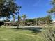 Community basketball court surrounded by palm trees and green landscaping, offering a scenic recreational space at 4376 S Santiago Way, Chandler, AZ 85248