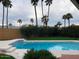 Refreshing pool with a tiled edge, surrounded by vibrant green turf and mature palm trees at 4807 E Everett Dr, Scottsdale, AZ 85254