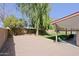 Large backyard featuring gravel, grass, a covered patio, mature trees, and a wall ensuring privacy at 6228 W Caribbean Ln, Glendale, AZ 85306