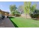 Expansive backyard with healthy green lawn, mature shade trees, and partial view of the covered patio at 6228 W Caribbean Ln, Glendale, AZ 85306