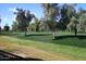 Lush golf course view featuring vibrant green grass, mature trees and meticulously maintained landscaping at 10960 N 78 St, Scottsdale, AZ 85260