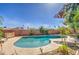 Backyard pool with a tanning ledge, brick trim, and flowering shrubs with a clear blue sky at 1205 W El Prado Rd, Chandler, AZ 85224