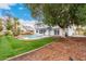 Lush backyard with grass and a pool, partially shaded by mature trees, perfect for relaxing at 13244 N 54Th Dr, Glendale, AZ 85304