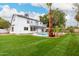 Beautiful backyard featuring green grass, palm tree, and a pool area at 13244 N 54Th Dr, Glendale, AZ 85304