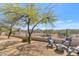 Spacious backyard featuring mature trees, a desert landscape, and mountain views at 1345 E Gaffney Rd, New River, AZ 85087