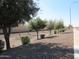 Picture of street with mature trees and sidewalk at 2830 W Grenadine Rd, Phoenix, AZ 85041