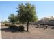 Landscaped street with mature trees at 2830 W Grenadine Rd, Phoenix, AZ 85041