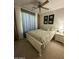 Comfortable bedroom with a ceiling fan, ample natural light, and stylish decor at 36610 W Picasso St, Maricopa, AZ 85138