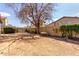 Backyard featuring tree and a tall block wall at 4041 W Cielo Grande --, Glendale, AZ 85310