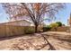 Backyard featuring a tree and a tall block wall for privacy at 4041 W Cielo Grande --, Glendale, AZ 85310