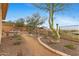 Desert landscaped backyard with mountain views at 42123 N Long Cove Way, Anthem, AZ 85086