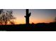 Silhouette of a saguaro cactus and tree branches against a beautiful sunset at 42123 N Long Cove Way, Anthem, AZ 85086