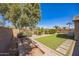 Landscaped backyard featuring grass, mature trees, a brick fence, and a small playground set at 42256 W Lucera Ln, Maricopa, AZ 85138