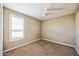 Cozy bedroom with neutral carpet, a ceiling fan, and a window for natural light at 42256 W Lucera Ln, Maricopa, AZ 85138