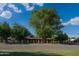 Inviting single-story home with a secure fenced yard, mature landscaping, and picturesque street view at 7216 W Country Gables Dr, Peoria, AZ 85381