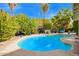 Sparkling backyard pool surrounded by mature palm trees and lush greenery, creating a private and tranquil oasis at 848 W Keating Ave, Mesa, AZ 85210