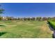 Scenic community lawn area surrounded by well-maintained homes and lush greenery at 10156 E Radiant Ave, Mesa, AZ 85212