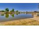 Picturesque pond surrounded by lush landscaping and walking trails at 10156 E Radiant Ave, Mesa, AZ 85212