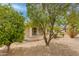 Lush backyard with mature trees and greenery offer shade and privacy at 15046 W Cooperstown Way, Surprise, AZ 85374