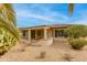 An expansive backyard with a covered patio and mature desert landscaping at 15046 W Cooperstown Way, Surprise, AZ 85374